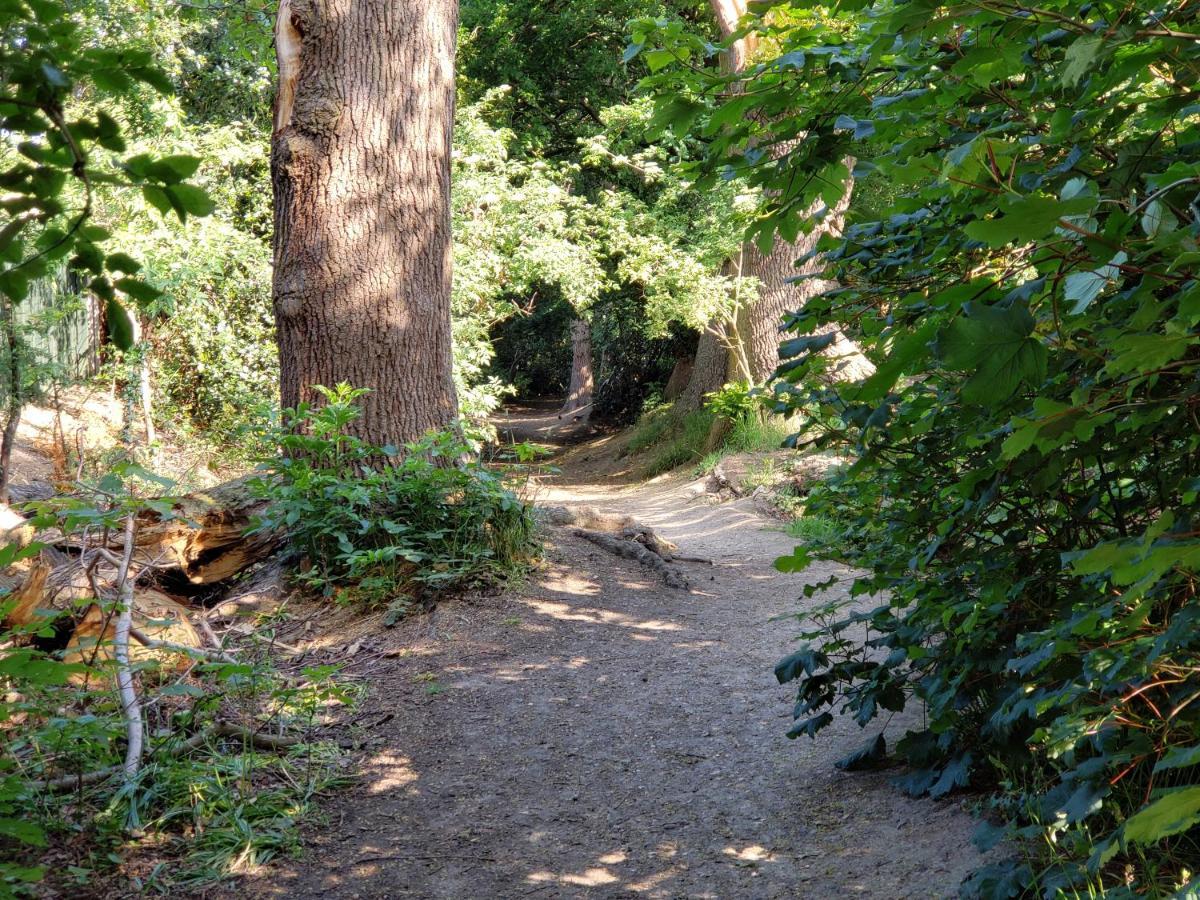 Luxury Self Catering With Cosy Cabin & Sauna In Colchester Buitenkant foto