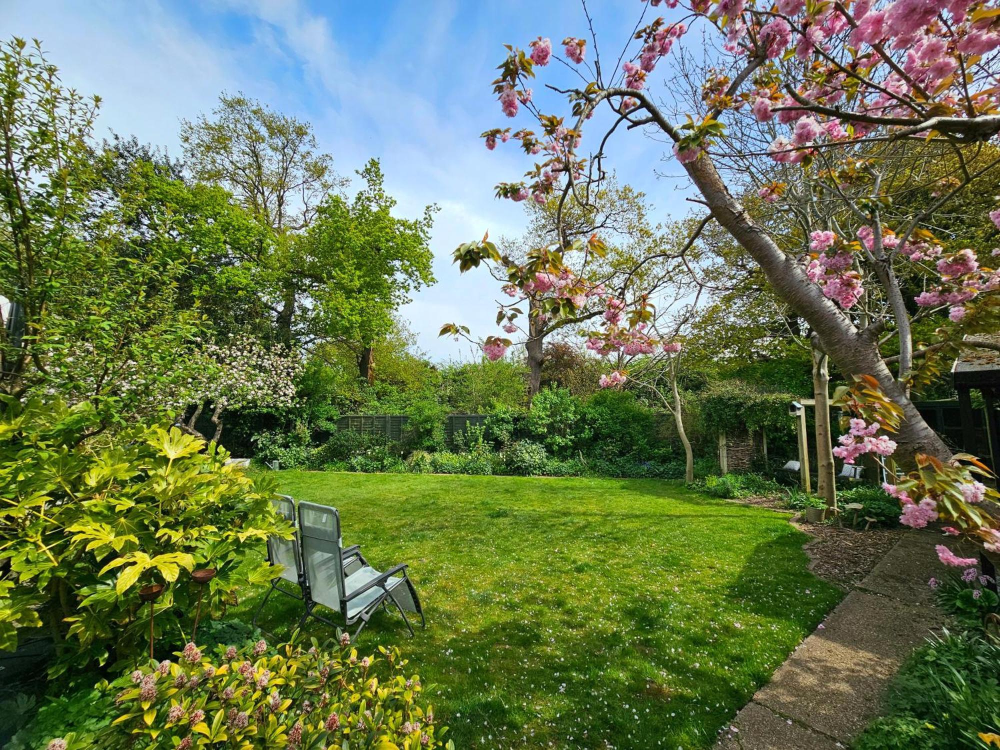 Luxury Self Catering With Cosy Cabin & Sauna In Colchester Buitenkant foto